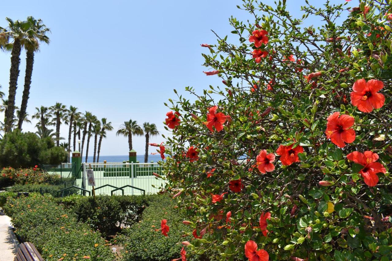 Apartament Fantastic Studio - Beachfront Torrox Zewnętrze zdjęcie